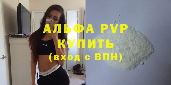 гидра Белокуриха