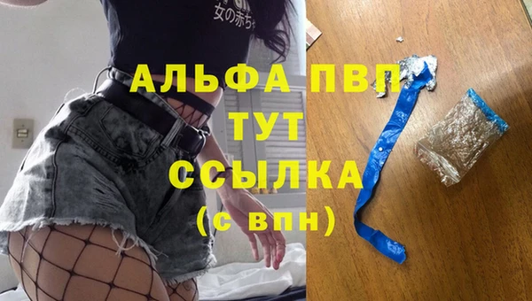 гидра Белокуриха
