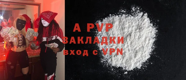 гидра Белокуриха