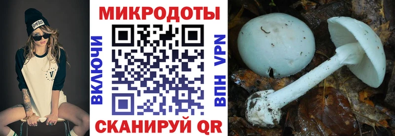 Псилоцибиновые грибы ЛСД  Красноуфимск 