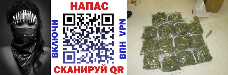 Конопля сатива Красноуфимск
